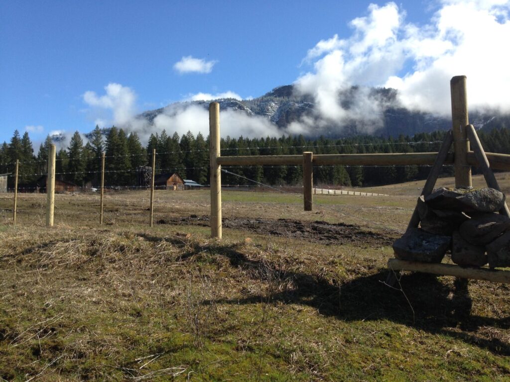 What Type of Farm Fence Is Best for Cattle, Sheep, Goats, and Other Livestock?
