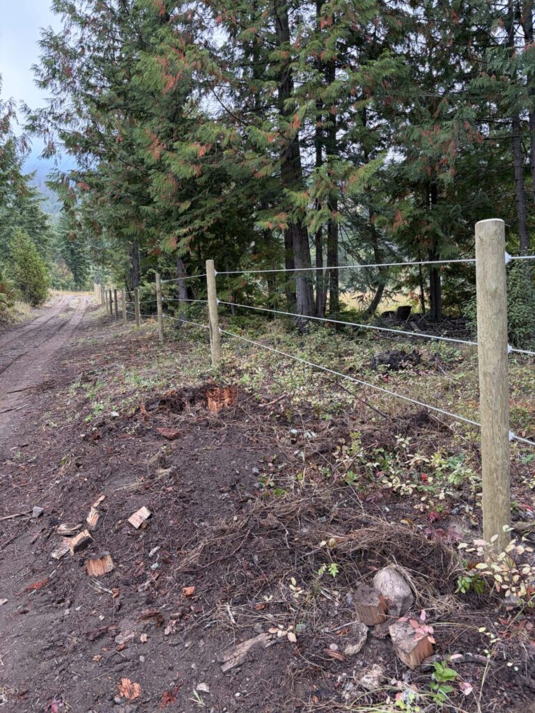 Electric fence with smooth wire strands on insulators along treated wood posts beside a forest road