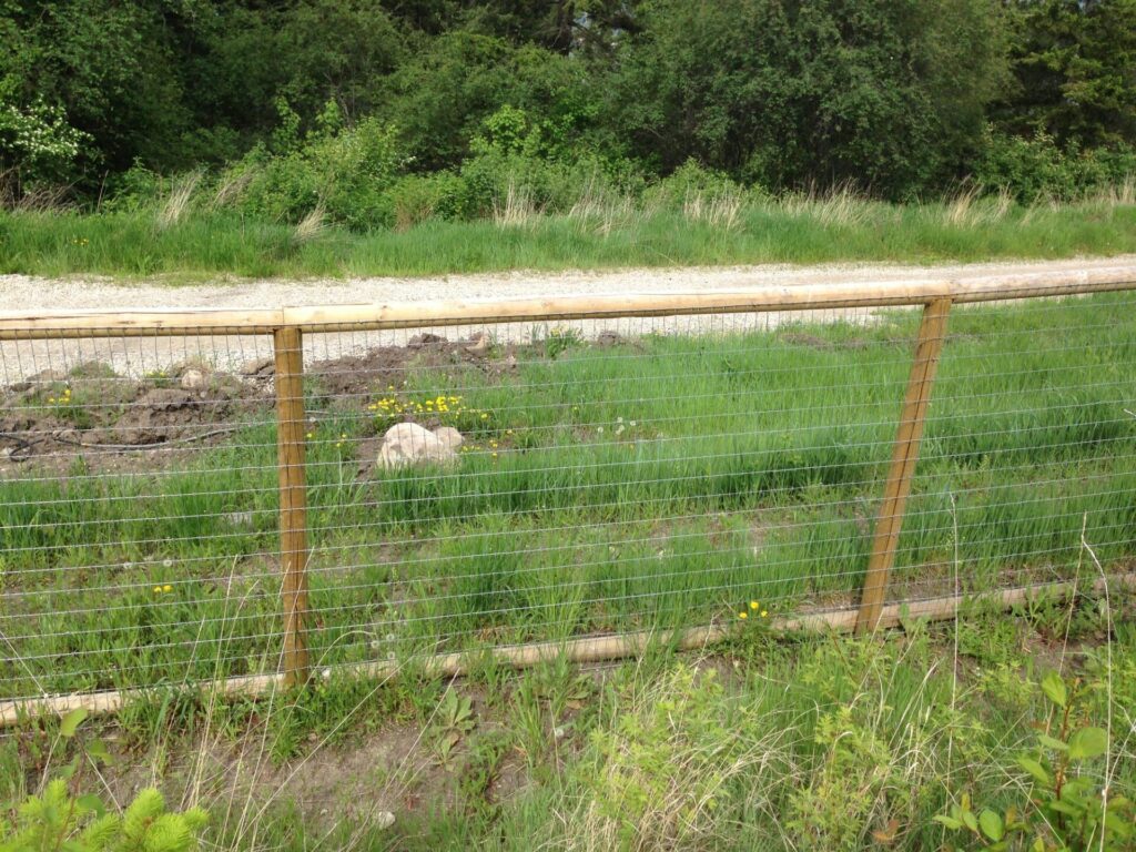 Welded wire fence on square treated wood posts with round wood top and bottom rails