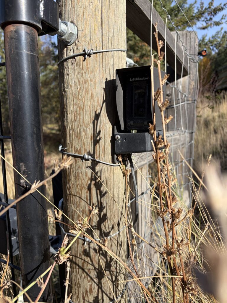 LiftMaster photo eye on a wood gate post partly blocked by tall dry weeds